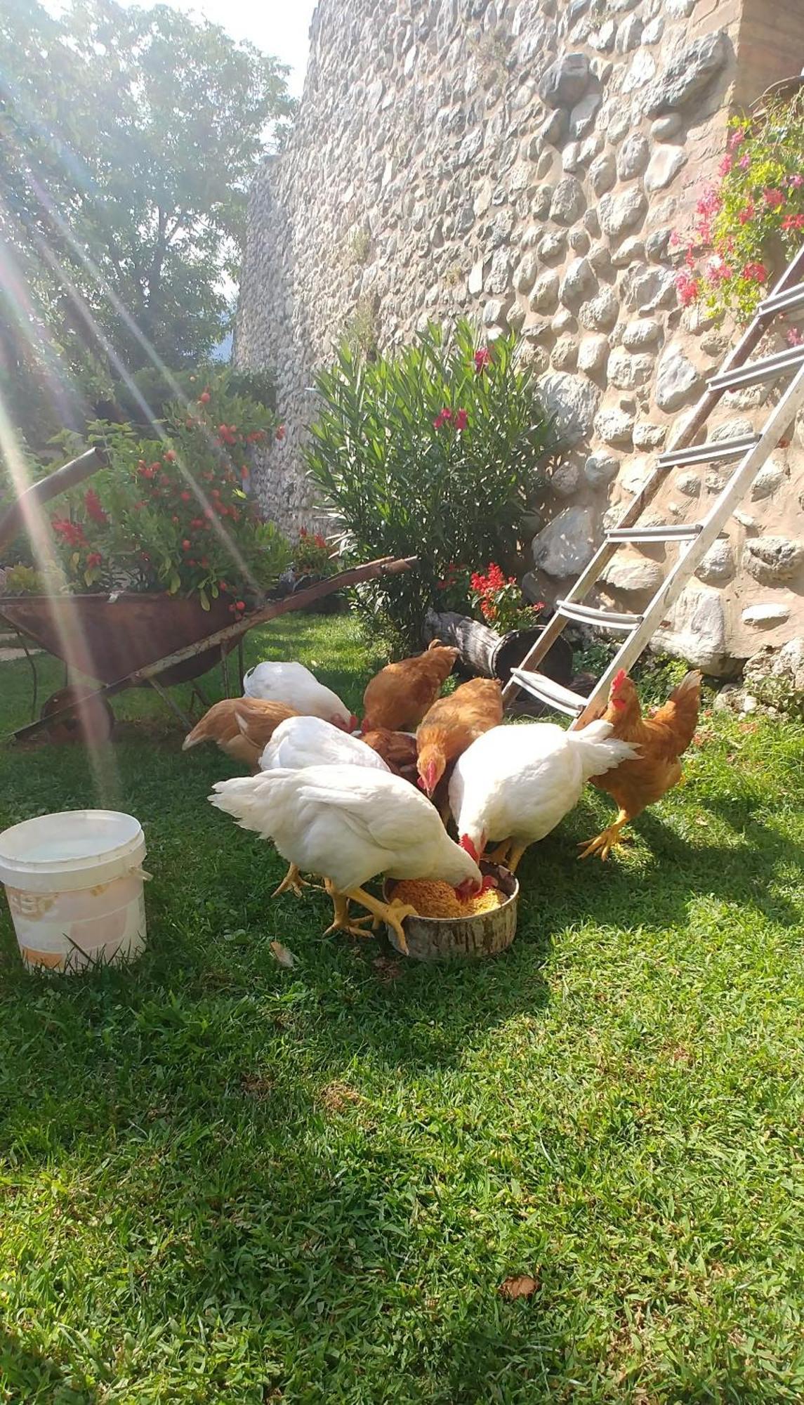 Agriturismo San Giovanni Ad Insulam อิโซลา เดล กรันซัสโซ ดิตาเลีย ภายนอก รูปภาพ