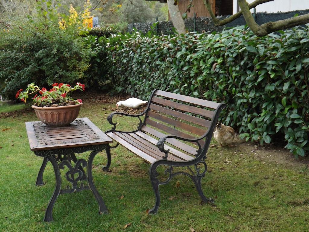 Agriturismo San Giovanni Ad Insulam อิโซลา เดล กรันซัสโซ ดิตาเลีย ภายนอก รูปภาพ