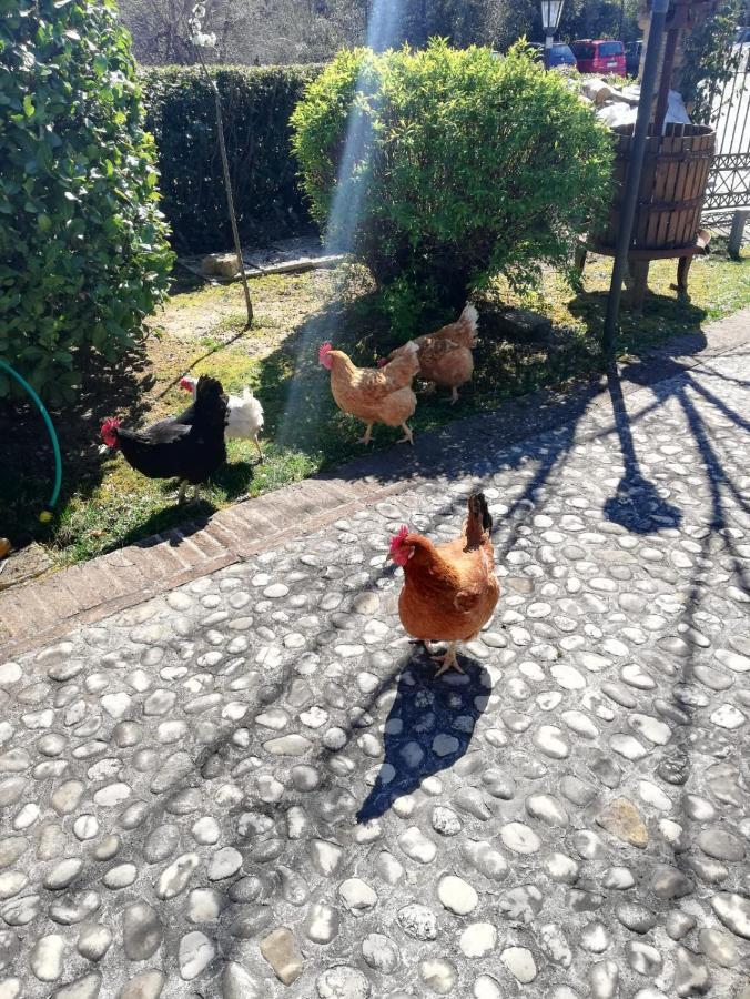 Agriturismo San Giovanni Ad Insulam อิโซลา เดล กรันซัสโซ ดิตาเลีย ภายนอก รูปภาพ